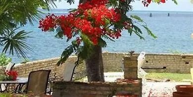Hotel On The Cay Christiansted