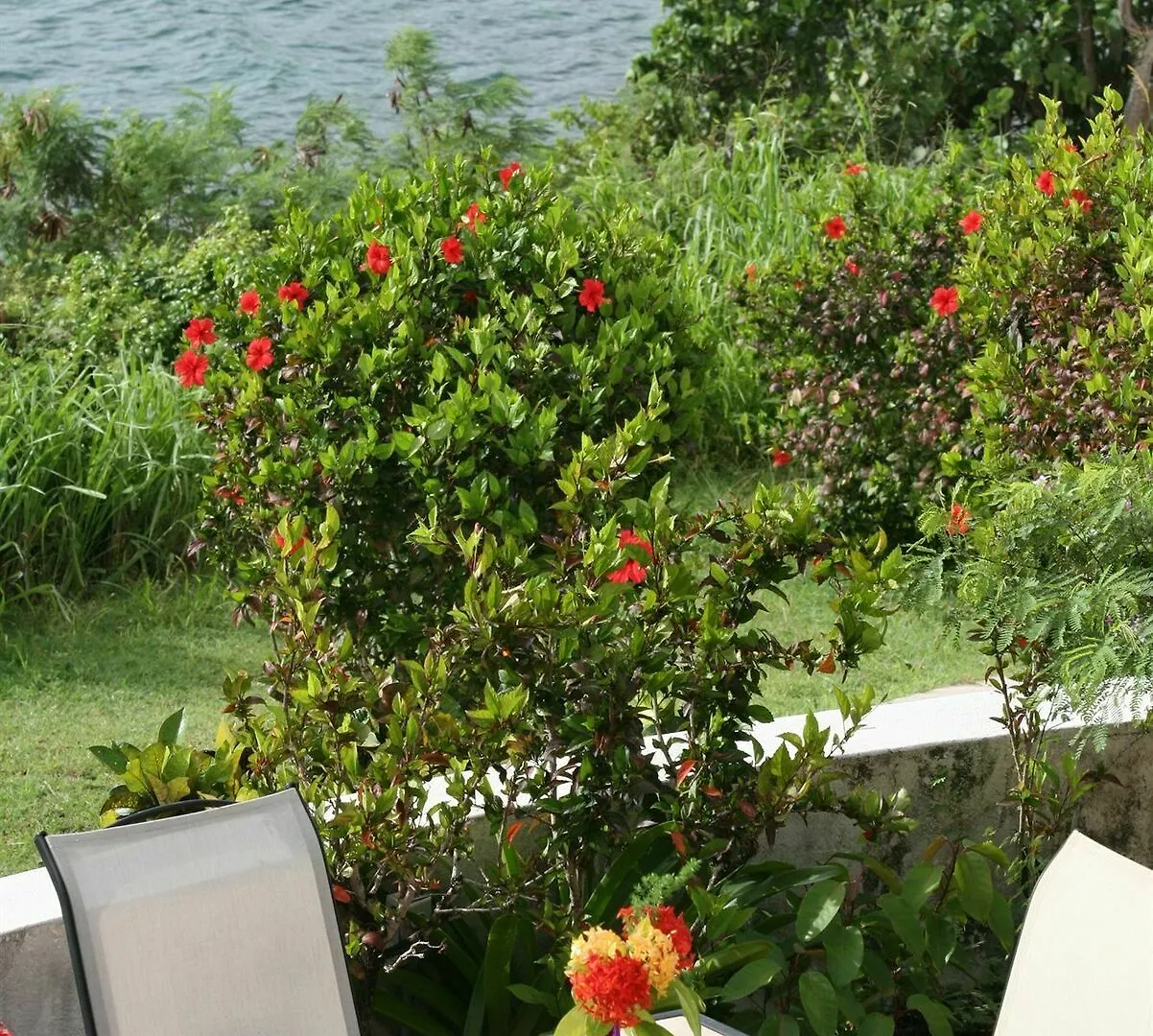 Hotel On The Cay Christiansted Wyspy Dziewicze Stanów Zjednoczonych